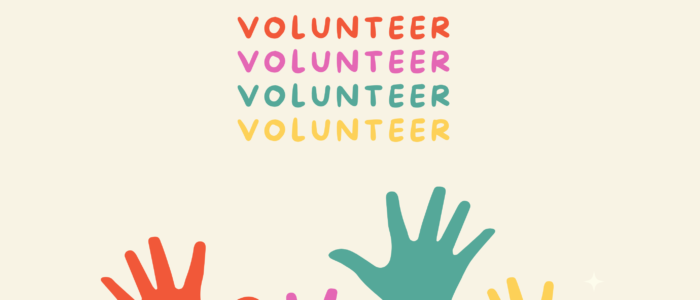 Other Volunteer Ideas