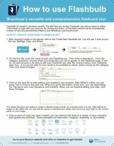 thumbnail of HowToUseFlashbulb